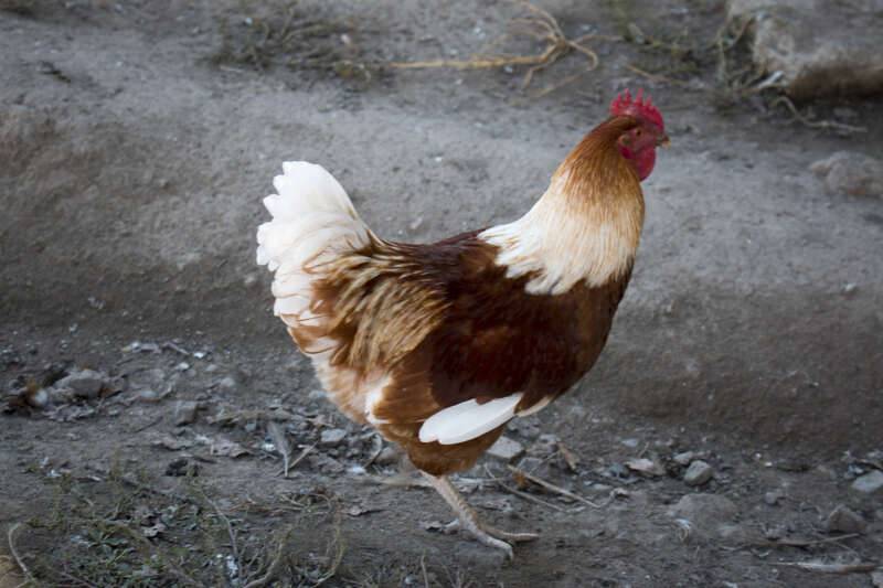 Restaurant Ferme-Auberge de l&rsquo;Estre
