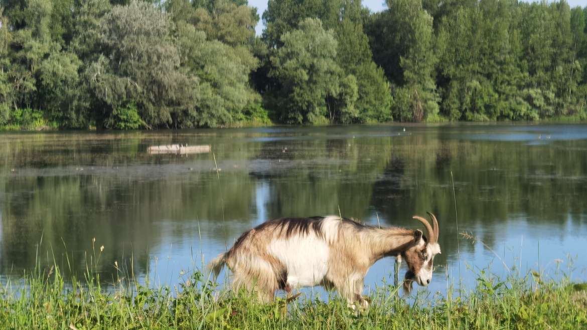 L&rsquo;Allier à vélo avec la voie verte près de Clermont