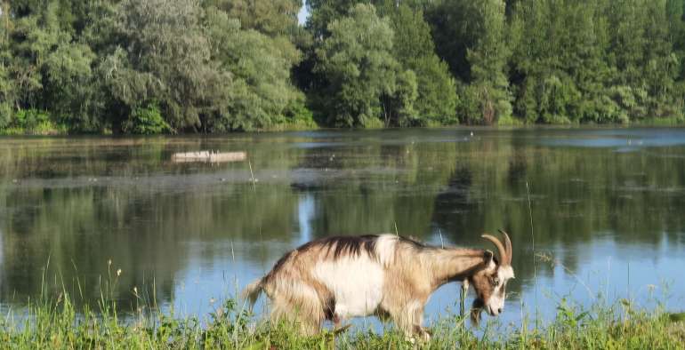 L&rsquo;Allier à vélo avec la voie verte près de Clermont