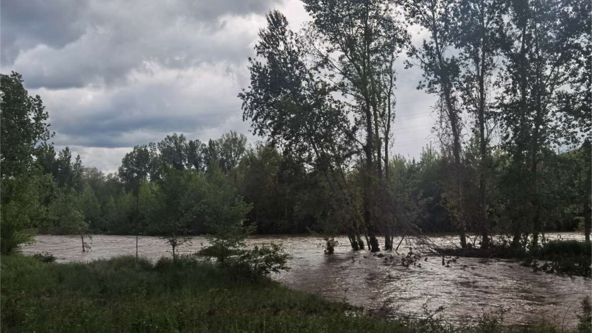 La « petite » crue de l’Allier 2024