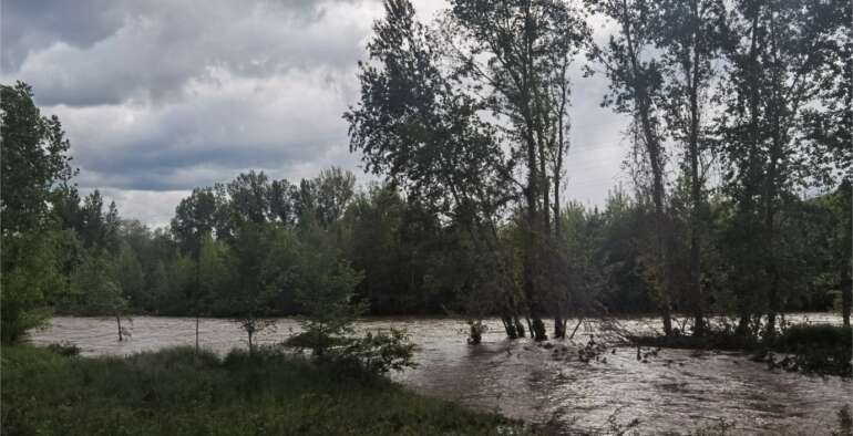 La « petite » crue de l’Allier 2024