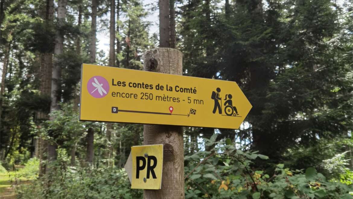 La forêt de la Comté : un écrin de nature pour petits et grands