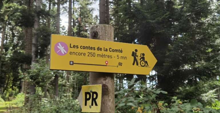 La forêt de la Comté : un écrin de nature pour petits et grands